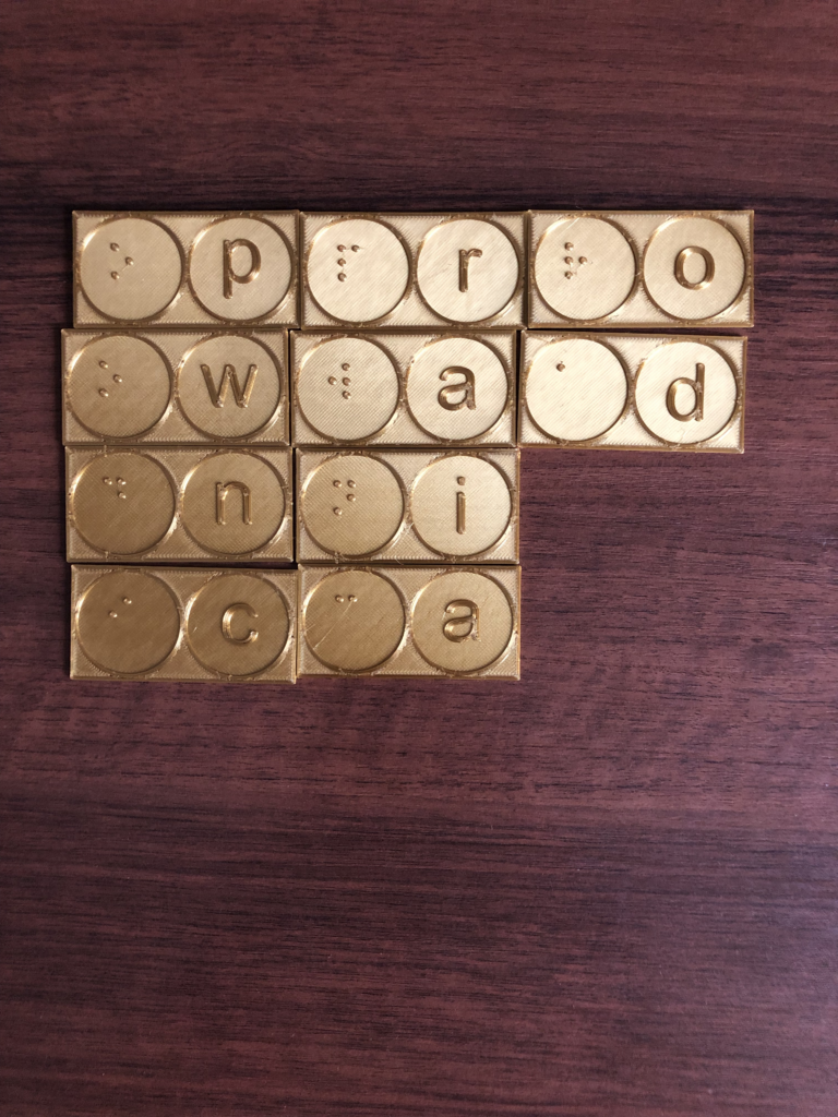 Domino ułożone w czterech rzędach, litery układają się w napis Prowadnica, PLA domieszkowane mosiądzem Domino: pojedynczy element składa się z litery Brajlowskiej z lewej strony i, innej, litery czarnodrukowej z prawej. Klocki ułożone są w czterech rzędach, czarnodrukowe litery układają się w napis Prowadnica.